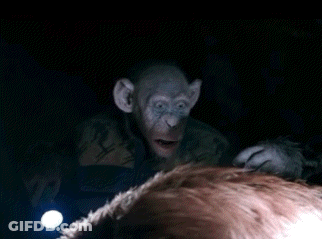 A Monkey In A Dark Room With A Flashlight Behind It GIF