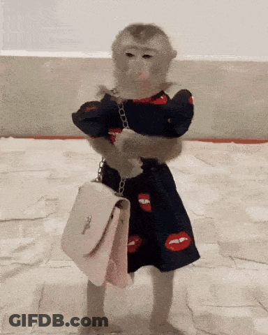 A Monkey In A Dress Is Holding A Purse GIF