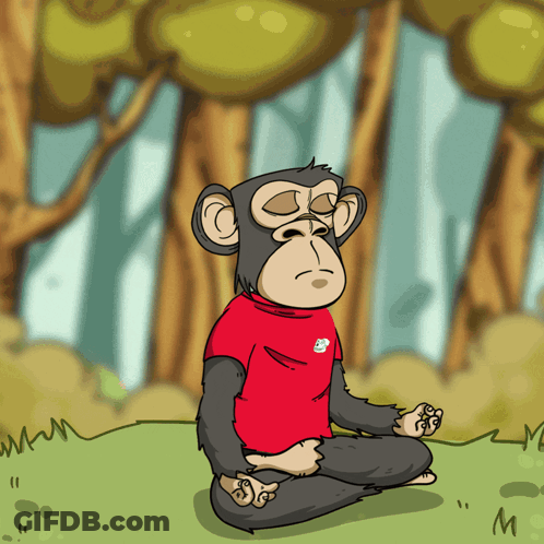 A Monkey In A Red Shirt Sits In A Lotus Position In The Grass GIF