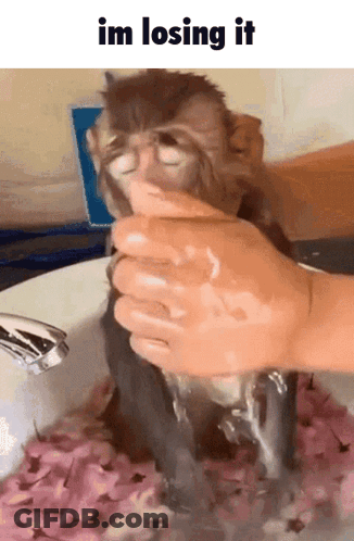 A Monkey Is Being Washed In A Sink With The Words Im Losing It Below It GIF