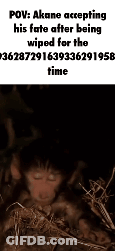 Monkey Being Wiped In Meme GIF