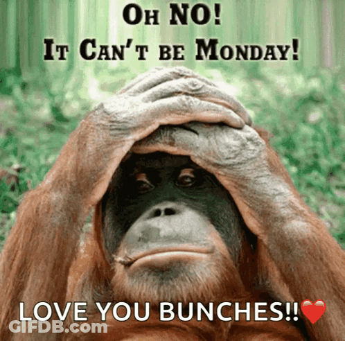 A Monkey Is Covering Its Face With Its Hands And Says " Oh No It Can 'T Be Monday " GIF