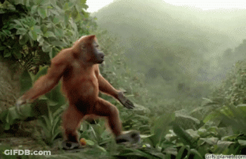 A Monkey Is Dancing In The Jungle With A Gif Planet.com Watermark GIF