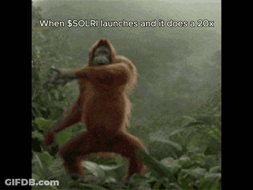 A Monkey Is Dancing In The Jungle With The Words When $ Solri Launches And It Does A 20X GIF