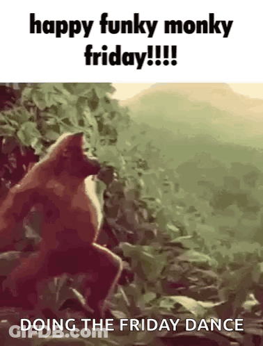 A Monkey Is Doing The Friday Dance In The Jungle GIF