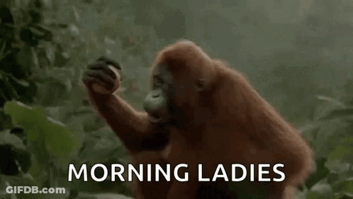 A Monkey Is Eating A Banana In The Jungle And Says Morning Ladies . GIF
