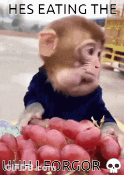 A Monkey Is Eating A Bunch Of Grapes With A Caption That Says Hes Eating The Uhh I Forgor GIF