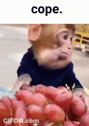 A Monkey Is Holding A Bunch Of Grapes In Front Of A Sign That Says Cope GIF