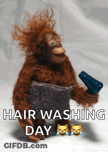A Monkey Is Holding A Hair Dryer And A Sweater With The Words Hair Washing Day Above It GIF