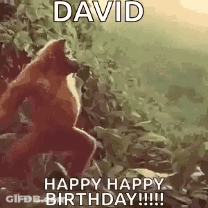 A Monkey Is Jumping In The Air With The Words `` David Happy Happy Birthday !!! '' . GIF