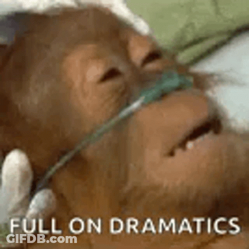 A Monkey Is Laying In A Hospital Bed With An Oxygen Mask On His Face . GIF