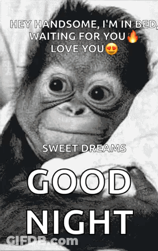 A Monkey Is Laying In Bed With A Good Night Message On It . GIF