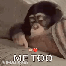 A Monkey Is Laying On A Bed With A Heart And The Words `` Me Too '' Written On It . GIF