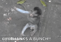 A Monkey Is Laying On The Ground With The Words `` Thanks A Bunch '' Written Above It . GIF