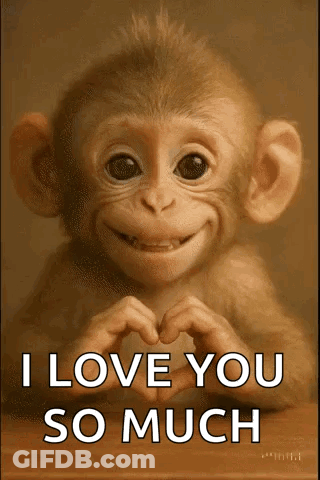 A Monkey Is Making A Heart Shape With Its Hands And Says I Love You So Much GIF