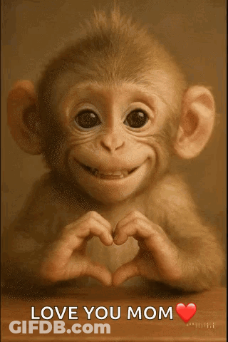 A Monkey Is Making A Heart Shape With Its Hands And Says Love You Mom GIF