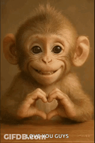 A Monkey Is Making A Heart Shape With Its Hands And Smiling . GIF