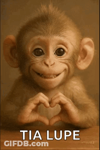 A Monkey Is Making A Heart Shape With Its Hands And Smiling . GIF