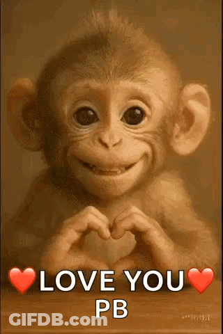A Monkey Is Making A Heart With Its Hands . GIF