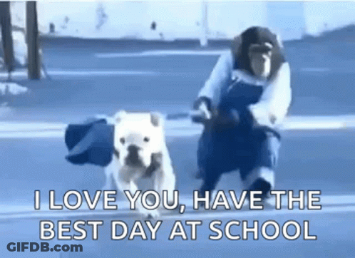 A Monkey Is Riding A Motorcycle Next To A Bulldog . GIF