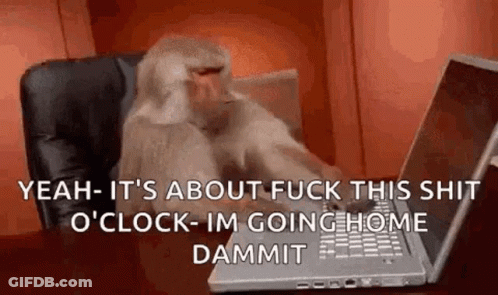 A Monkey Is Sitting At A Desk Typing On A Laptop . GIF