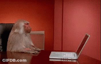 A Monkey Is Sitting At A Desk Using A Laptop Computer GIF