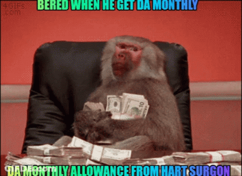Monkey Sitting With Money Stacks And Bored Caption GIF