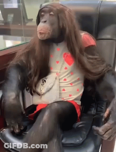 A Monkey Is Sitting In A Chair Wearing A Wig And A Heart Shirt GIF