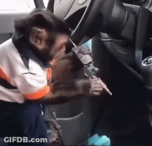 A Monkey Is Sitting In The Driver 'S Seat Of A Car And Looking At The Steering Wheel . GIF