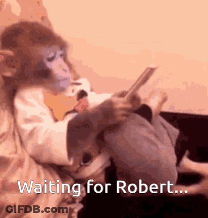 A Monkey Is Sitting On A Bed Reading A Book And Waiting For Robert .. GIF
