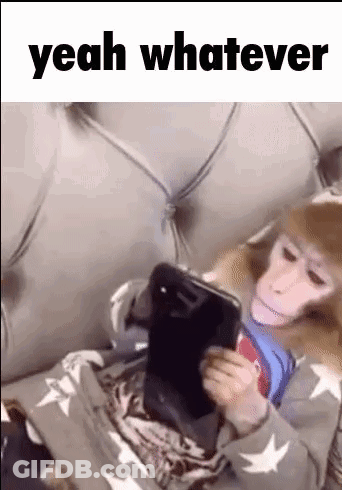 A Monkey Is Sitting On A Bed Using A Tablet Computer . GIF