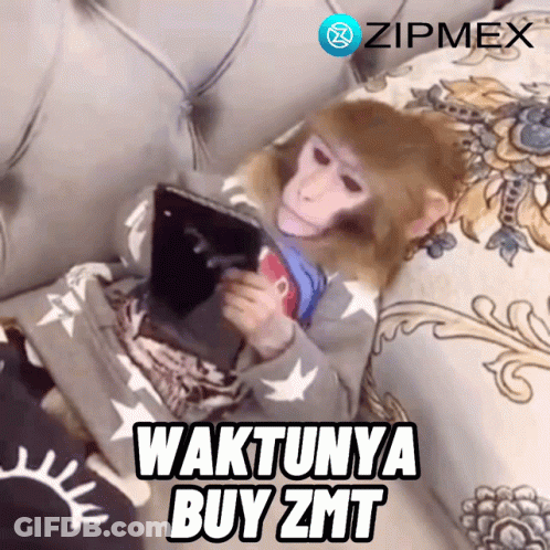 A Monkey Is Sitting On A Couch Looking At A Tablet With The Words " Waktunya Buy Zmt " Below It GIF