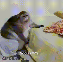A Monkey Is Sitting On A Couch With The Words Moppi Gemoy Written On The Bottom GIF