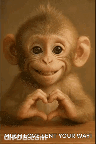 A Monkey Is Smiling And Making A Heart Shape With Its Hands . GIF