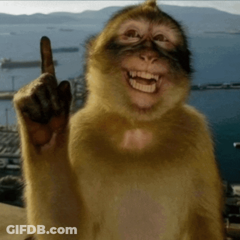 A Monkey Is Smiling And Pointing Up With Its Finger GIF
