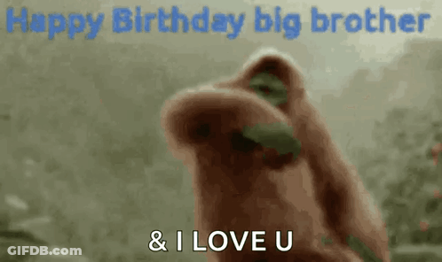 A Monkey Is Standing In Front Of A Sign That Says `` Happy Birthday Big Brother '' And '' I Love U '' . GIF