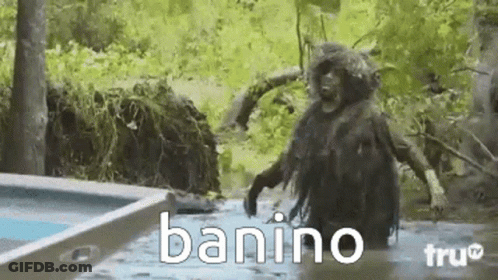 A Monkey Is Standing In The Water Next To A Pool With The Word Banino Written On It . GIF