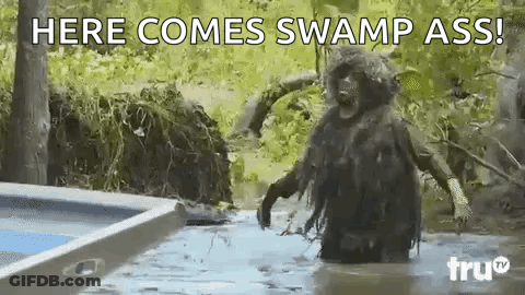 A Monkey Is Standing In The Water With The Words `` Here Comes Swamp Ass '' Behind Him . GIF
