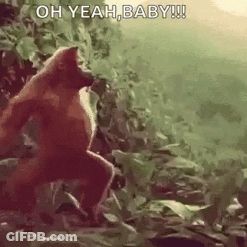 A Monkey Is Standing In The Woods And Says `` Oh Yeah , Baby ! '' GIF