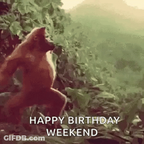 A Monkey Is Standing In The Woods With The Words `` Happy Birthday Weekend '' . GIF