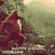 A Monkey Is Standing In The Woods With The Words `` Happy Happy '' Written On The Bottom . GIF