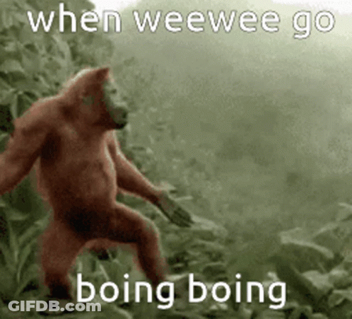 A Monkey Is Standing In The Woods With The Words `` When Weewee Go Boing Boing '' Written On The Bottom . GIF