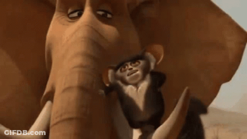A Monkey Is Standing Next To An Elephant With Its Eyes Closed . GIF