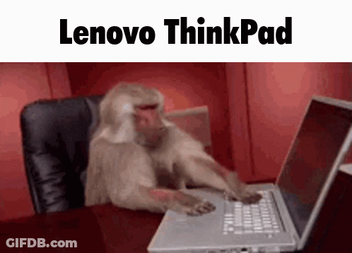 A Monkey Is Typing On A Laptop With The Words Lenovo Thinkpad Above It GIF