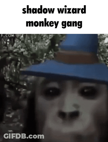 A Monkey Is Wearing A Blue Hat And Shadow Wizard Monkey Gang Is Written Above It . GIF