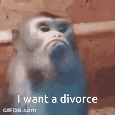 A Monkey Says I Want A Divorce In A Blurry Image GIF