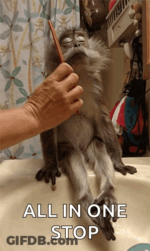 A Monkey Sitting On A Sink Being Brushed By A Person With The Caption " All In One Stop " GIF