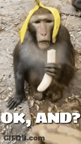 A Monkey Wearing A Banana Hat Is Eating A Banana With The Words " Ok And " Below It GIF