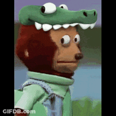 A Monkey Wearing A Green Crocodile Hat Looks At The Camera GIF
