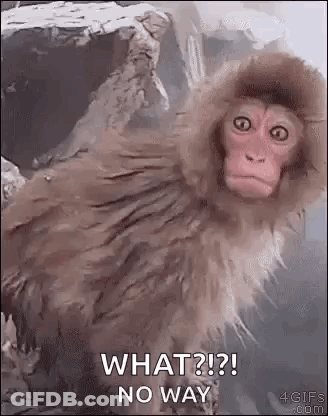 A Monkey Wearing A Hooded Jacket Is Sitting In A Bathtub And Asking What ? No Way . GIF
